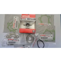 Vízpumpa szerviz készlet