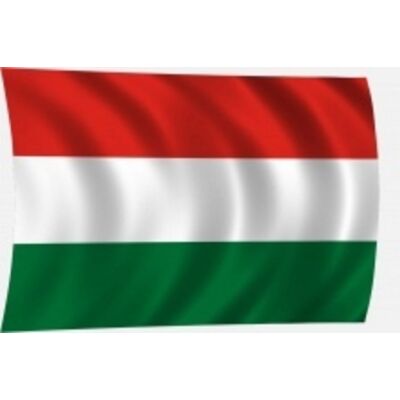 Zászló magyar 20x30 rúdra