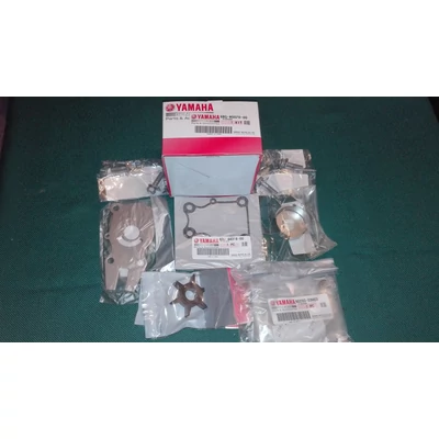 Vízpumpa javító készlet