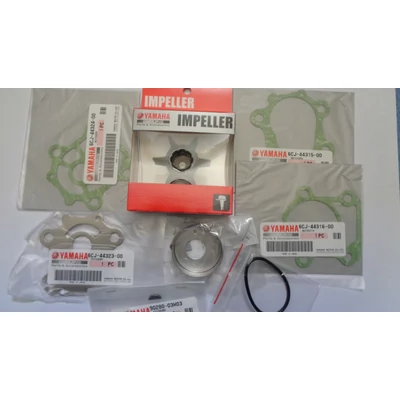 Vízpumpa szerviz készlet