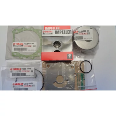 Vízpumpa szerviz készlet