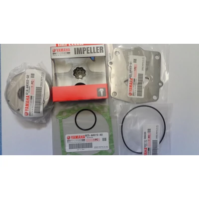 Vízpumpa szerviz készlet