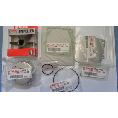 Vízpumpa szerviz készlet